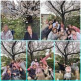 お花見🌸