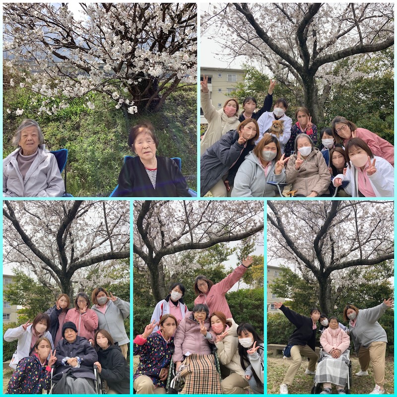 お花見の様子